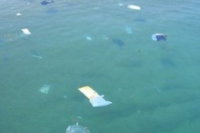 Lake Trash